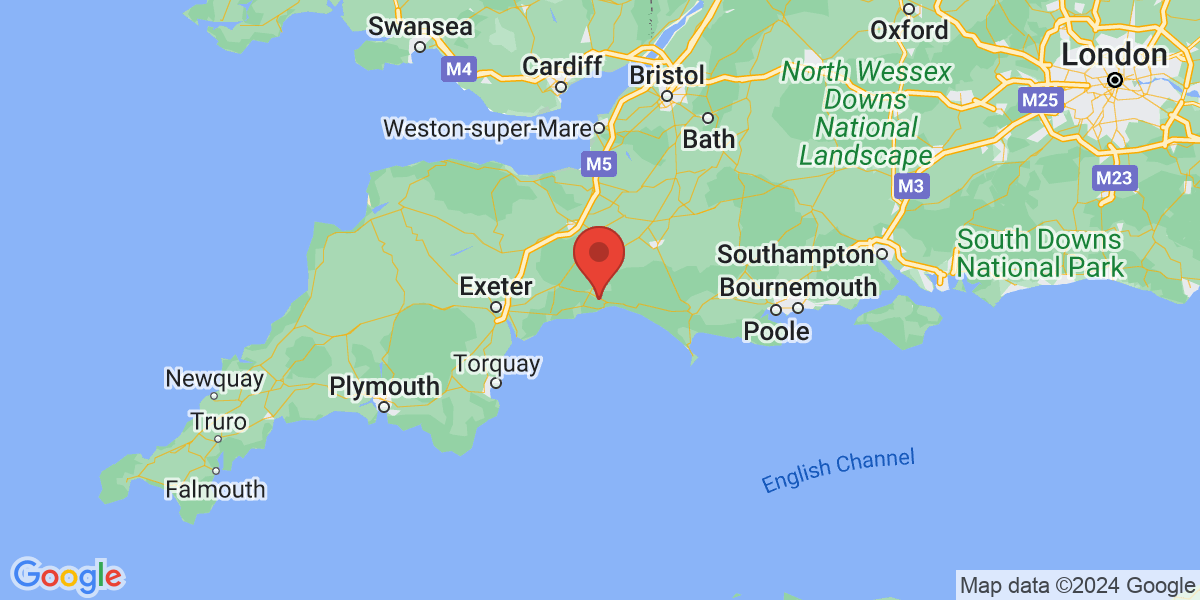 Lyme Regis and surrounding villages, Lyme Regis